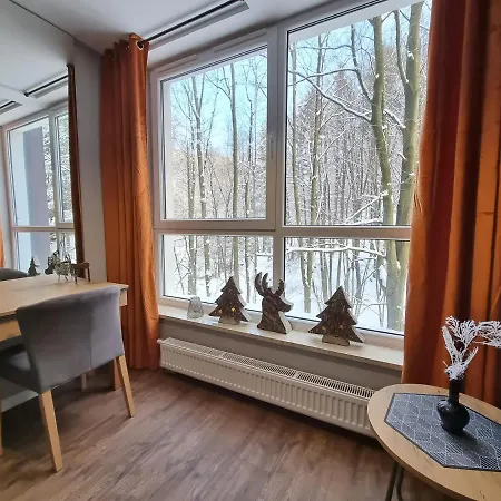 10 Kozubnik Blisko Szczyrk - 5d Apartmán
