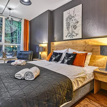 10 Kozubnik Blisko Szczyrk - 5d Apartmán